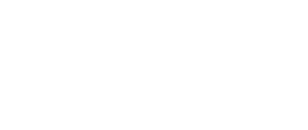 Logo blanc Ortiz Speedy Moving